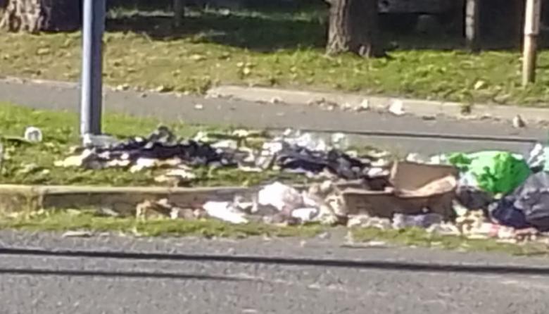 LLA impulsa una plataforma para visibilizar los reclamos vecinales