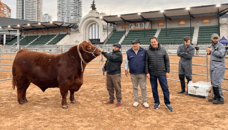 “Paulino” abrió la pista y los Angus ya viven su fiesta de otoño en Palermo