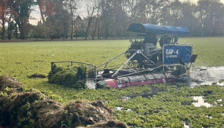 Comenzaron los trabajos de limpieza en la laguna del Parque San Martín