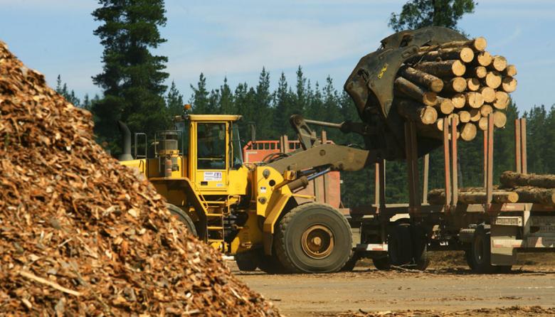 El Gobierno habilitó la importación de maquinaria usada para el sector forestal