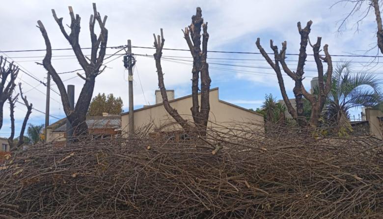 Multan a vecinos por incumplir normas en el retiro de restos de poda