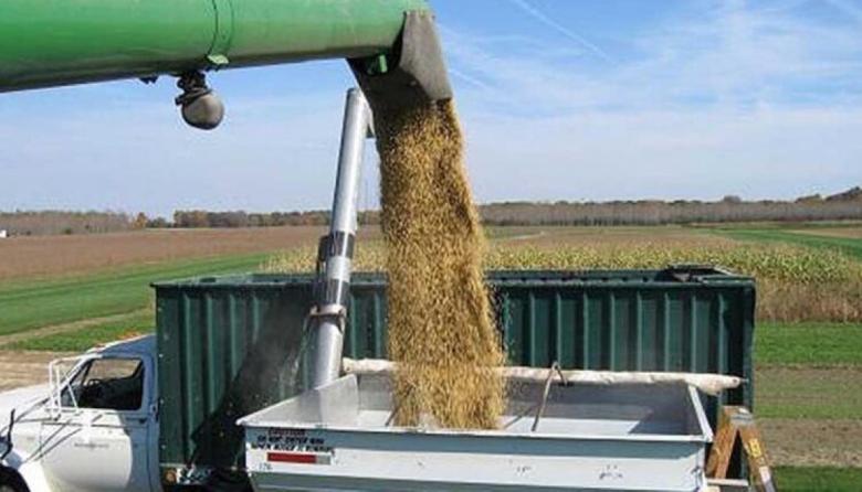 Dólares: la liquidación del agro cayó 11% en el primer cuatrimestre