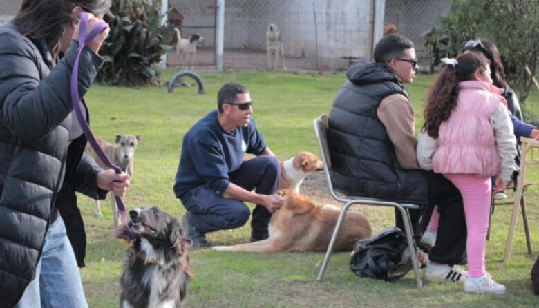 Jornada solidaria por el Día del Animal en el Refugio Municipal