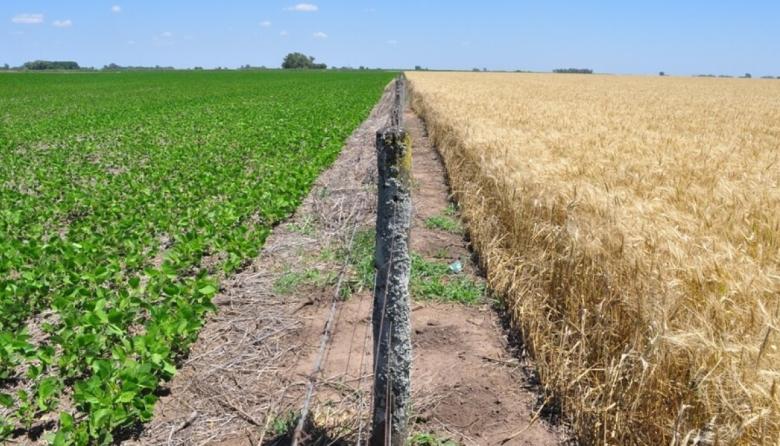 Bioinsumos: empresas argentinas buscan abrir la puerta del mercado europeo