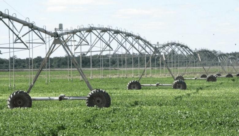 Inversiones agropecuarias: ARCA oficializó los requisitos del RIMI