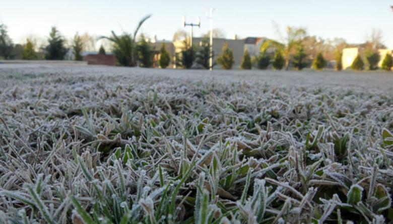 El invierno ya se hace sentir en Nueve de Julio con fuertes heladas