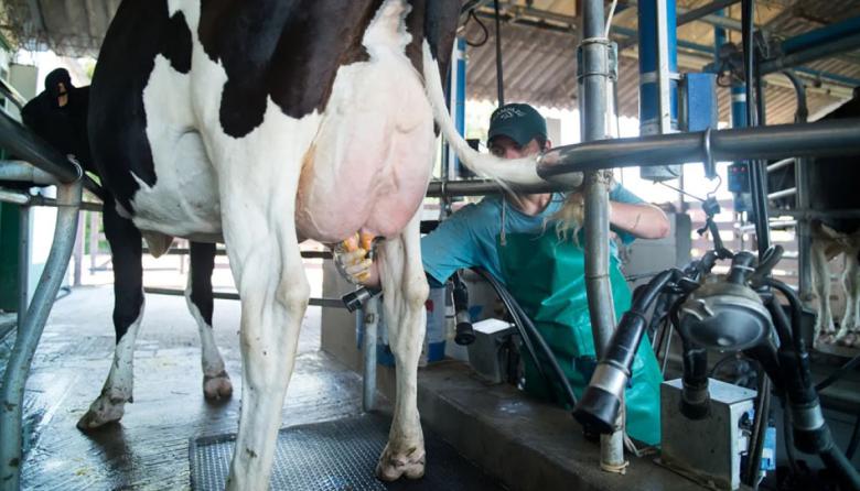 Creció la producción de leche, pero siguen cerrando tambos