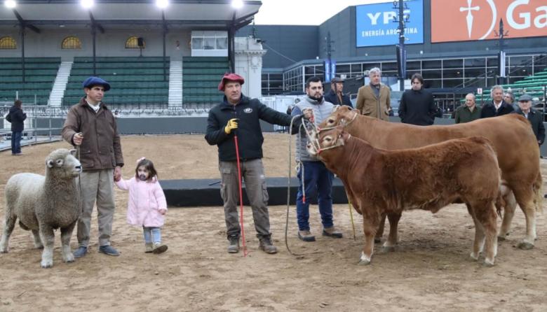 “De Paul” en Palermo: los primeros animales ya están en la Expo Rural