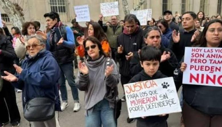 Masiva marcha en Bolívar por la ola de envenenamiento de perros