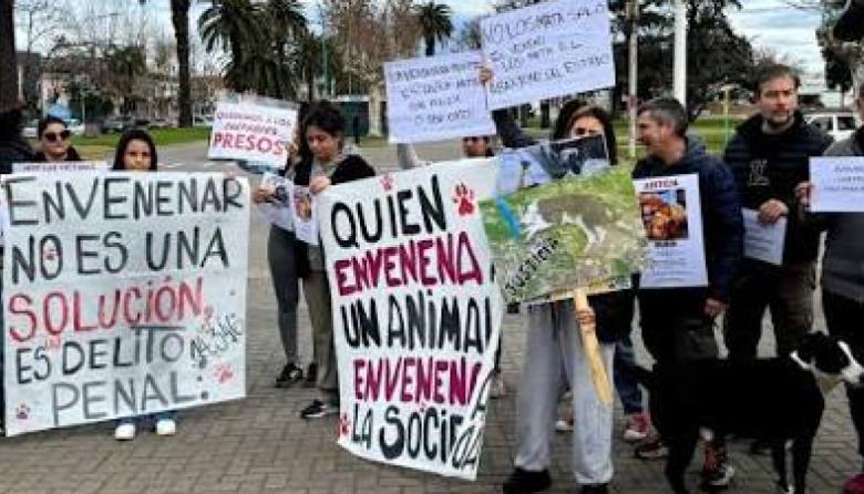 Nueva marcha en Bolívar contra los envenenamientos de perros
