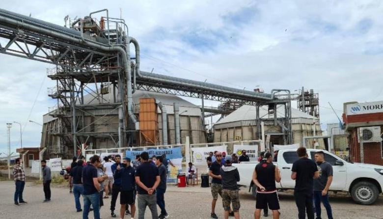 Biocombustibles: aceiteros reclaman nueva ley y advierten por atraso frente a Brasil