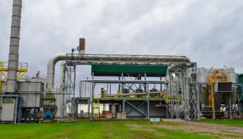 Agricultura autorizó la comercialización de una levadura genéticamente modificada
