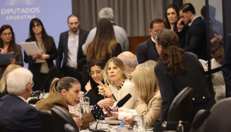 Cortocircuito entre la Casa Rosada y sus diputados por la ley de discapacidad