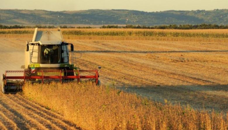 La suba de precios de los granos redujo el peso impositivo en la renta agrícola