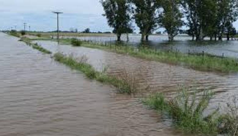 Inundaciones: declaran la emergencia agropecuaria en Nueve de Julio
