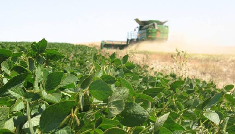 Estiman que El Niño podría generar U$S 4.000 millones adicionales a la cosecha
