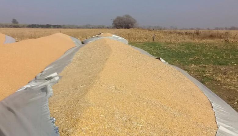 Vandalismo rural: Diputados dio media sanción la ley que agrava las penas