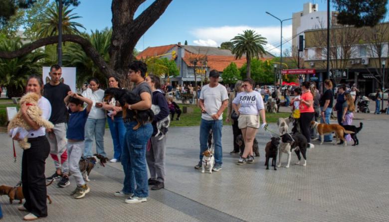Gran participación en la jornada de cuidado responsable de las mascotas