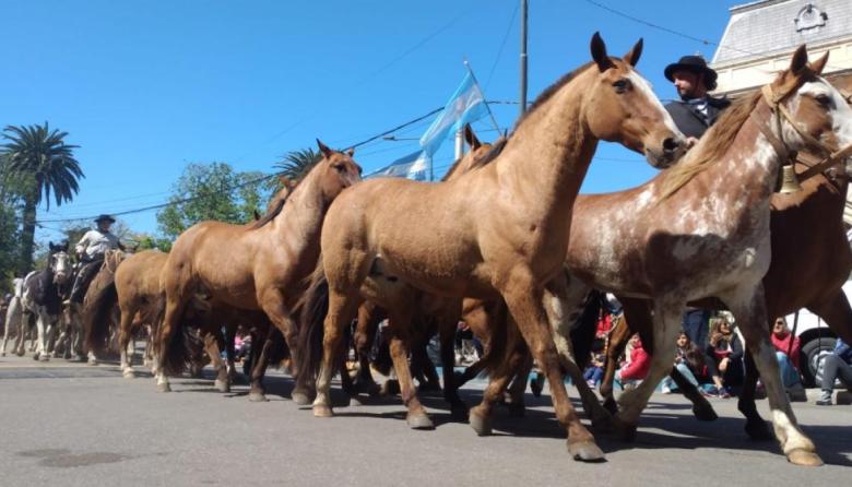 Fiesta del Caballo: la organización reveló nuevos detalles del tradicional desfile