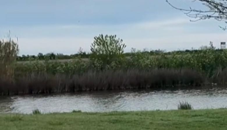 Pehuajó proyecta una reserva ecológica urbana junto a un reservorio de agua
