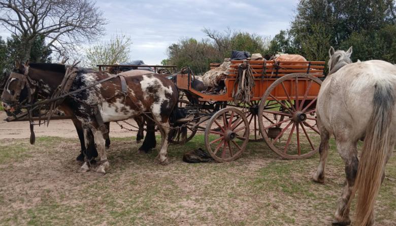 Jinetes de Navarro desafían el temporal para llegar a la Fiesta del Caballo