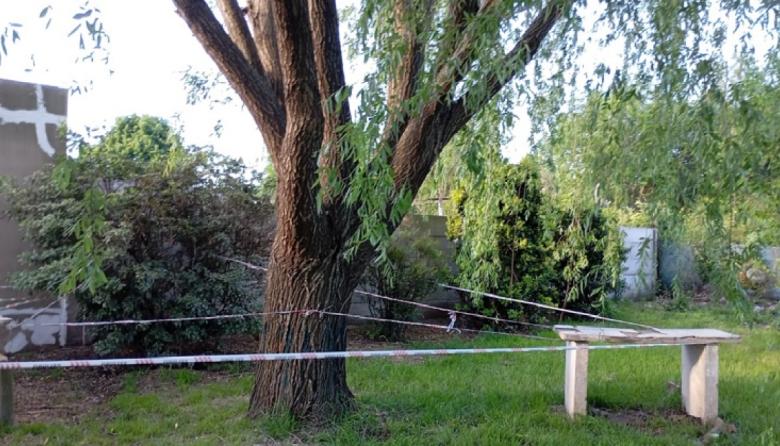 Intervención municipal ante el envenenamiento de un árbol de una plaza