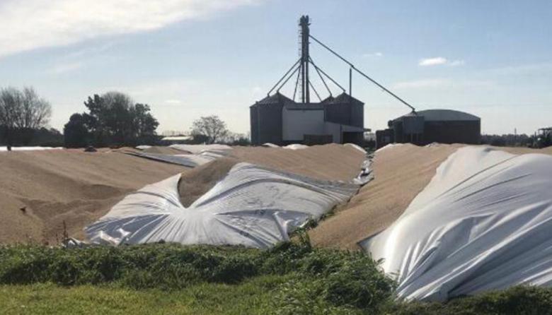 CARBAP respaldó el avance del proyecto contra el vandalismo rural