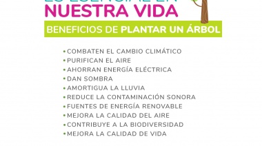 Campaña de cuidado de árboles en la ciudad