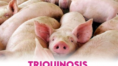 Recomendaciones para evitar la triquinosis