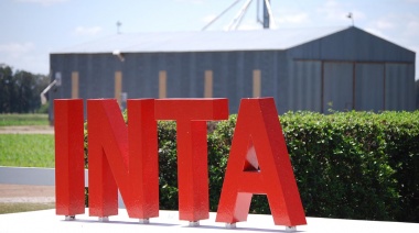 INTA: buscan recortar unos mil puestos de trabajo y vender tierras