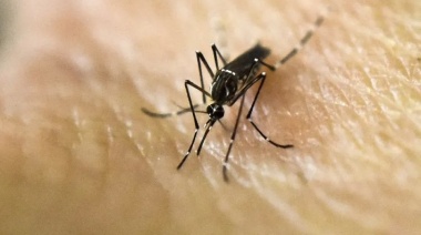 Aún sin brotes, la Provincia ya registra tres casos autóctonos de dengue