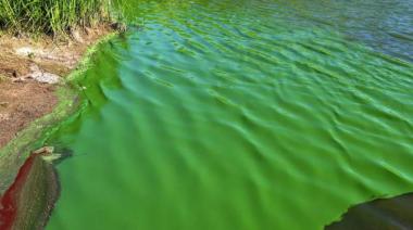 Alerta por cianobacterias en la Laguna de Bragado
