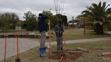 Trenque Lauquen, entre los municipios que más árboles plantó