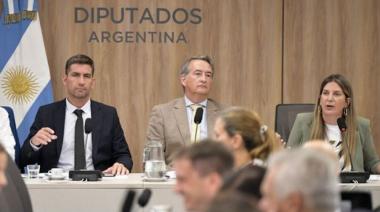 El oficialismo logró dictamen para avanzar con Ficha Limpia