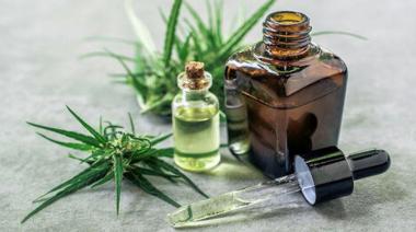 La Provincia oficializó el Programa de Cannabis Terapéutico