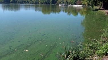 Cianobacterias: continúa el riesgo naranja en el Parque San Martín