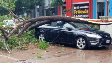 El temporal causó innumerables destrozos en Bragado