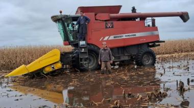 Un productor nuevejuliense cosecha maíz en un campo totalmente inundado