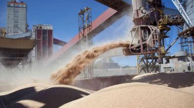 Agrodólares: la liquidación de granos cayó 15% en medio de la tensión cambiaria