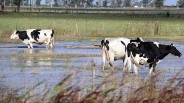Cuenca Oeste bonaerense: producción a paso firme y viejos reclamos