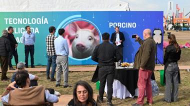 Nación lanza un sistema de garantía para la producción porcina