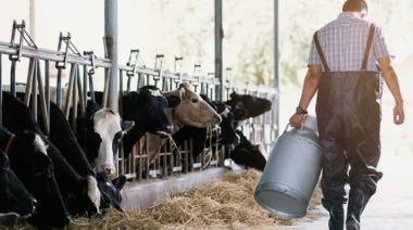 Más de 1.000 tambos cerraron en el país desde que asumió Milei