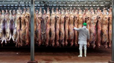 Baja de retenciones a la carne: destacan señal positiva con impacto “limitado”