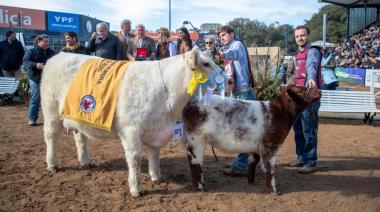 La cabaña trenquelauquense Santa Cecilia obtuvo tres grandes campeones Shorthorn