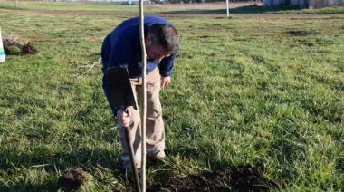 Donación del Rotary: comenzaron a plantar los árboles en el predio del autódromo