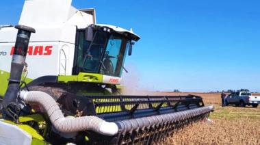 Con un sistema de aire forzado, reducen en un 54 % las pérdidas en la cosecha