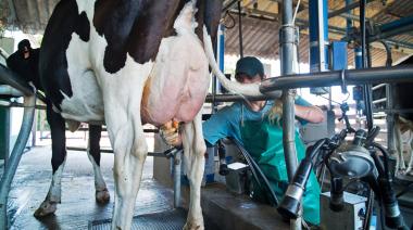 Argentina lidera el crecimiento de la producción mundial de leche