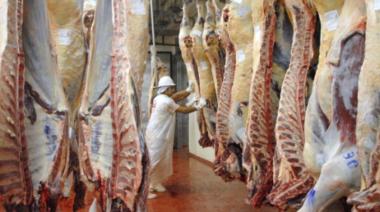¿Qué exige Chile para volver a importar carne argentina de la Patagonia?