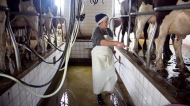 La producción de leche creció un 12% en el primer semestre del año