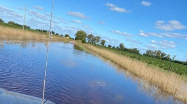 Prorrogaron la emergencia agropecuaria en 4 municipios de la provincia de Buenos Aires